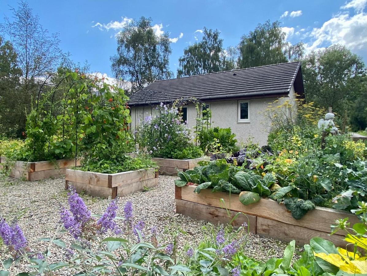 Homestead Cottage, 奥古斯都堡 外观 照片