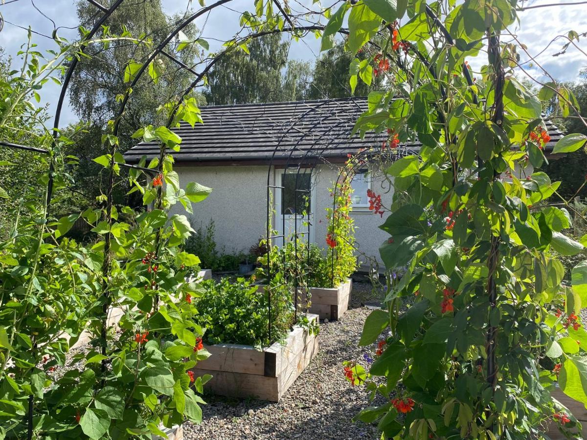 Homestead Cottage, 奥古斯都堡 外观 照片